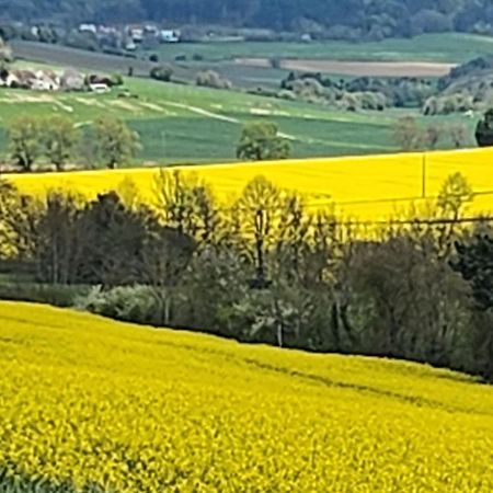 Vila La Layotte Vosne-Romanée Exteriér fotografie