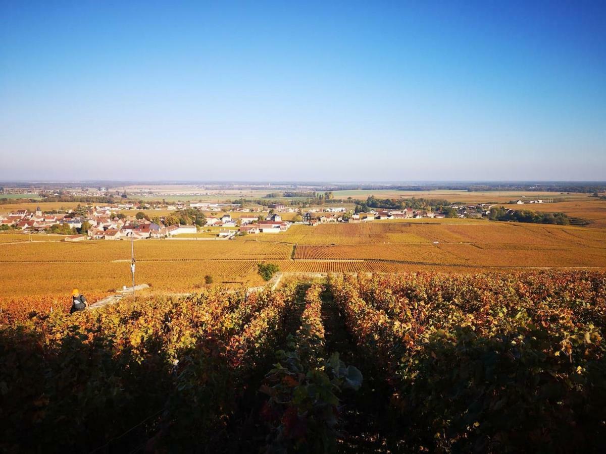 Vila La Layotte Vosne-Romanée Exteriér fotografie